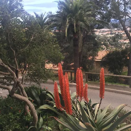 Couette-café Coeur De Village Bormes-les-Mimosas