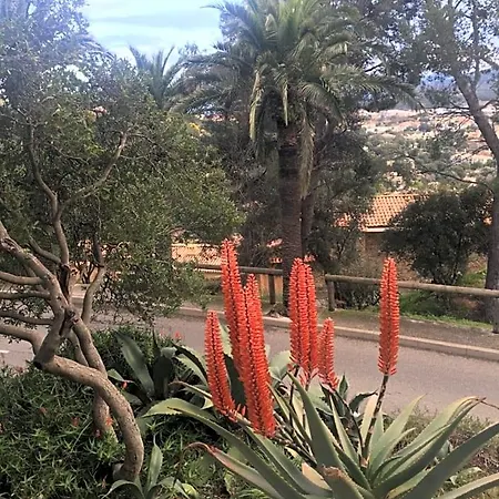 Coeur De Village Bormes-les-Mimosas